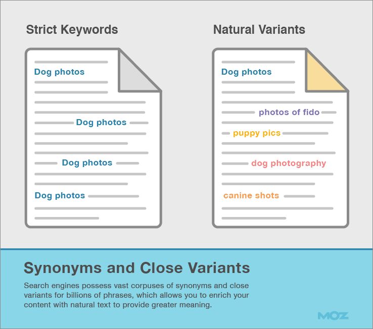 On Page SEO Synonyms LSI Keywords