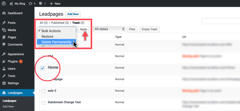 Deleting a LeadPage