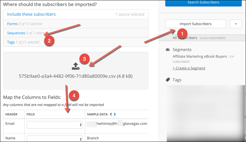 Import Subscribers Options