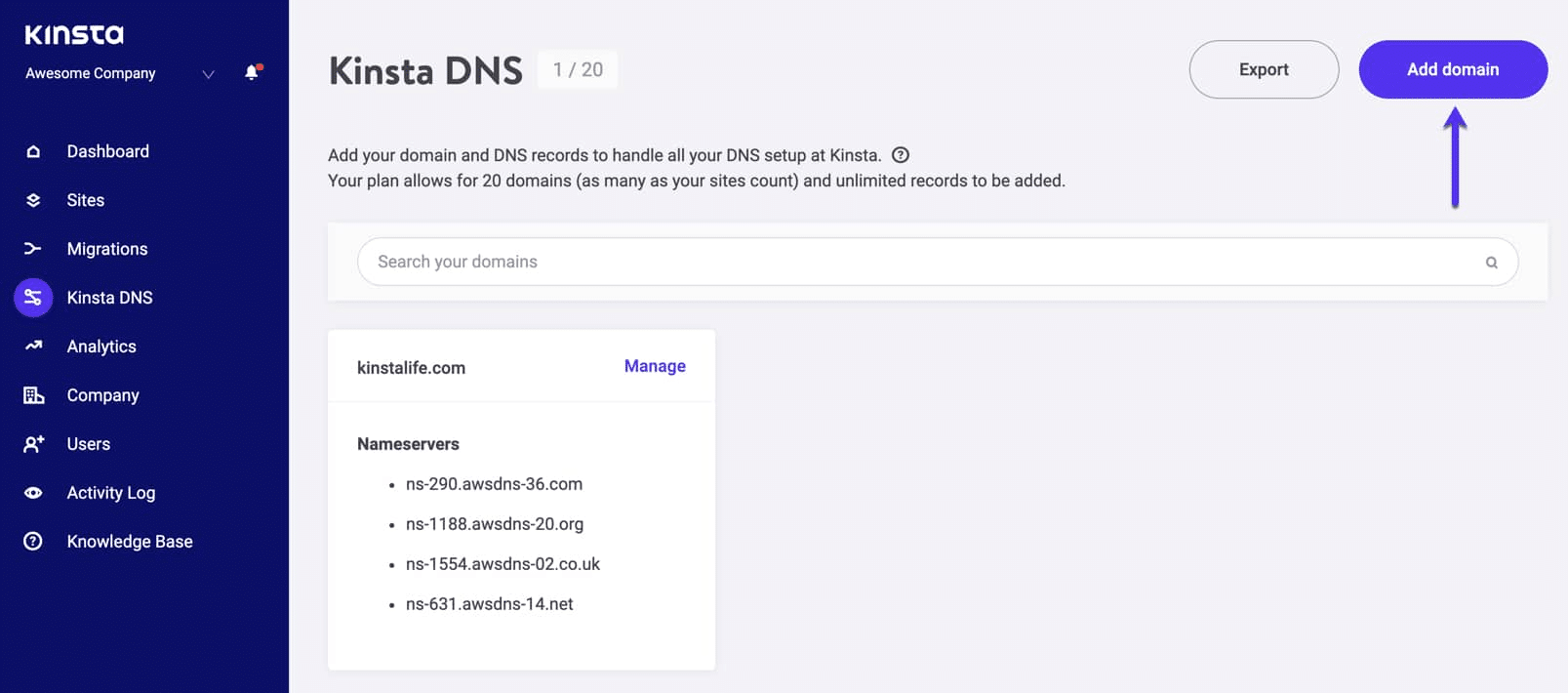 Kinsta DNS Adding Domains