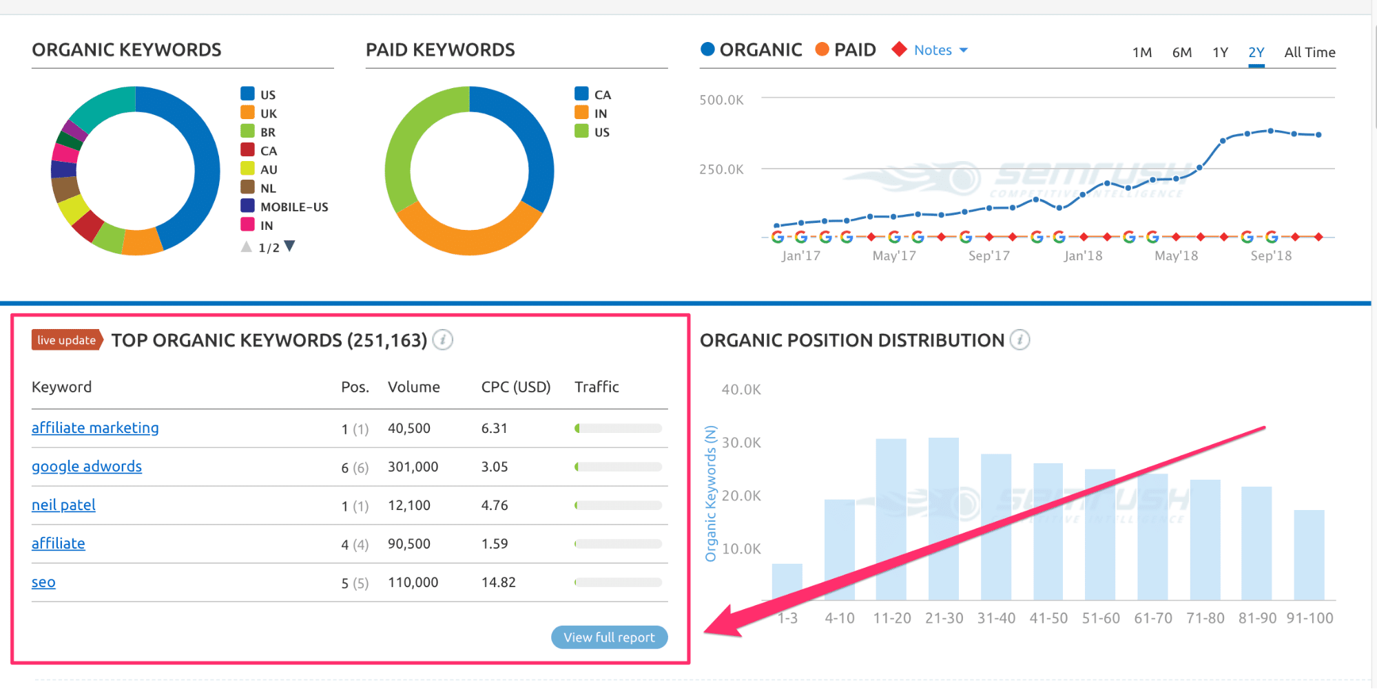 Top Organic Keywords