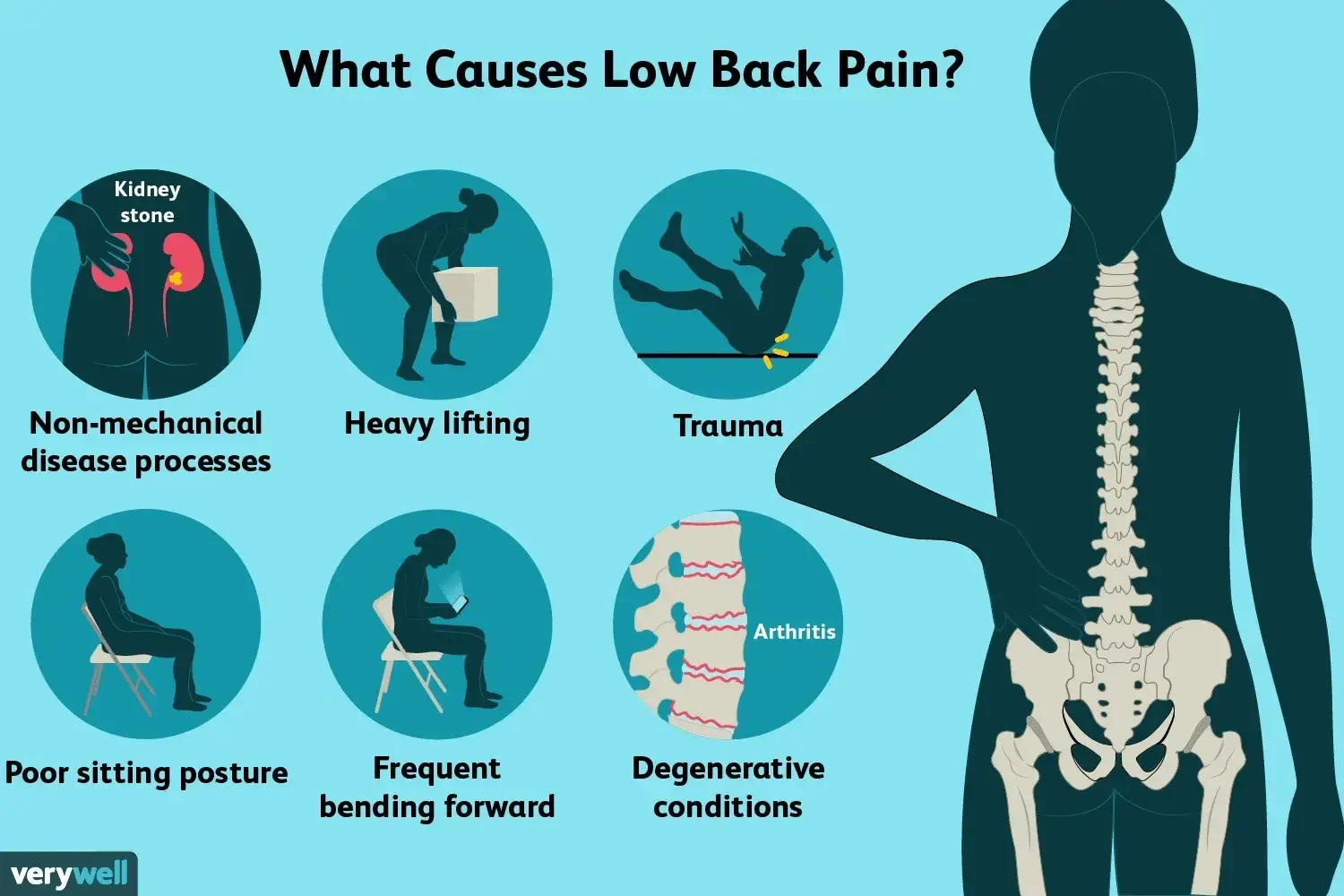 2). Prevents Lower Back Pain 2). Prevents Lower Back Pain