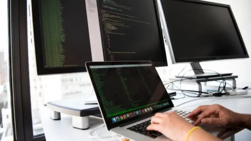 File hosting shallow focus photo of person using MacBook
